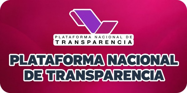 Plataforma Nacional Transparencia